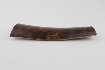 Brown mammoth bark