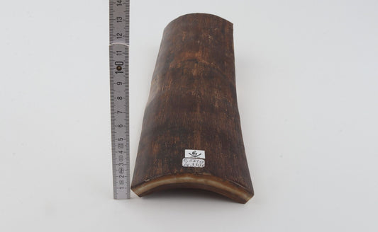 Brown mammoth bark