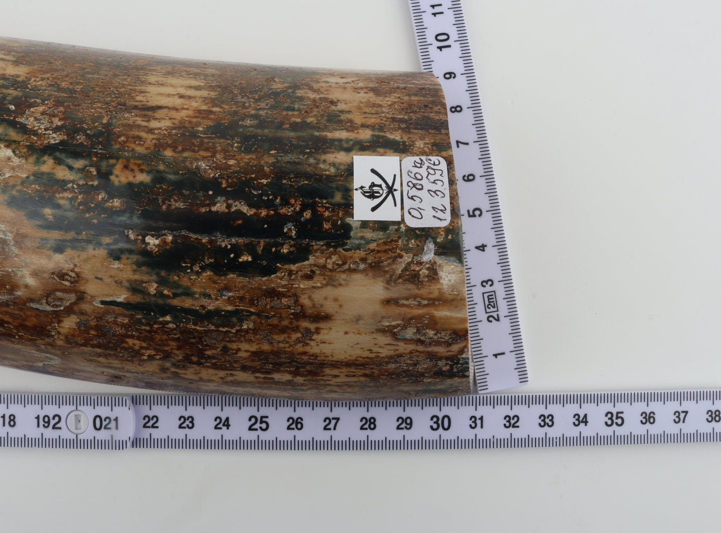 Natural mammoth bark