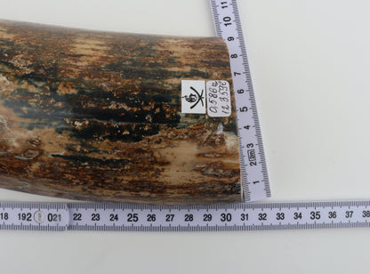 Natural mammoth bark