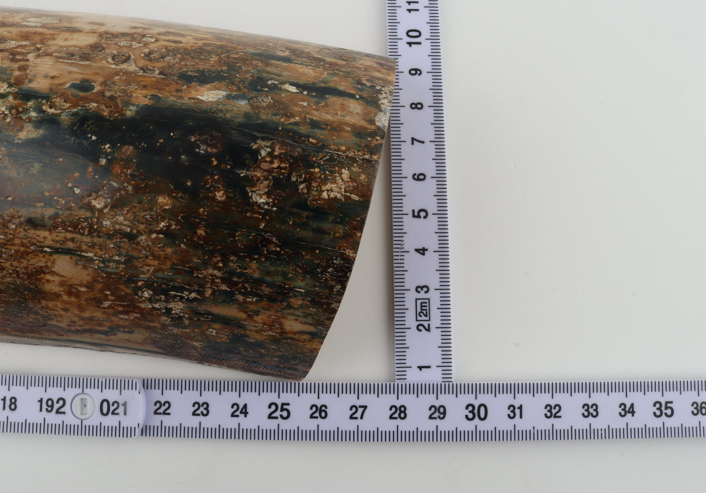 Natural mammoth bark