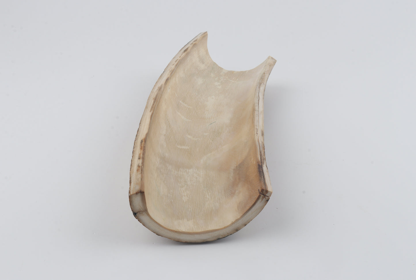 Natural mammoth bark