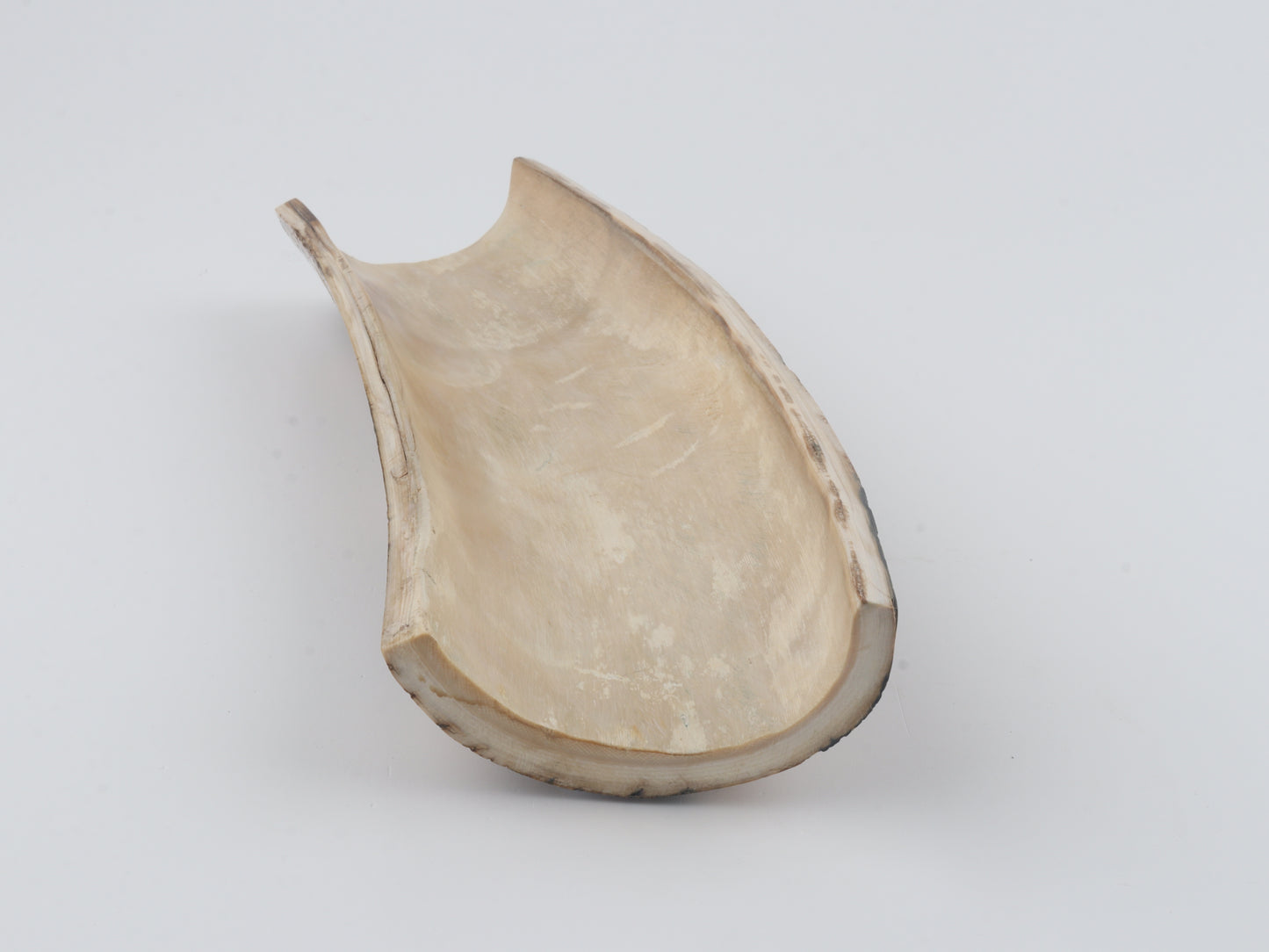 Natural mammoth bark