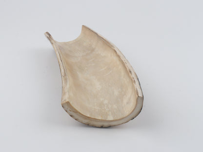 Natural mammoth bark