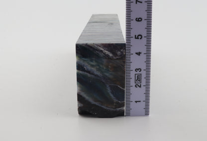 Stabilized mammoth molar piece