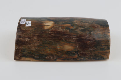 Brown-blue mammoth bark