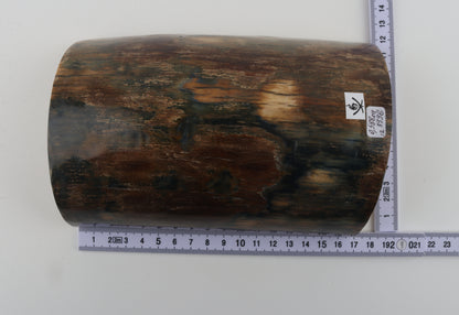Brown-blue mammoth bark