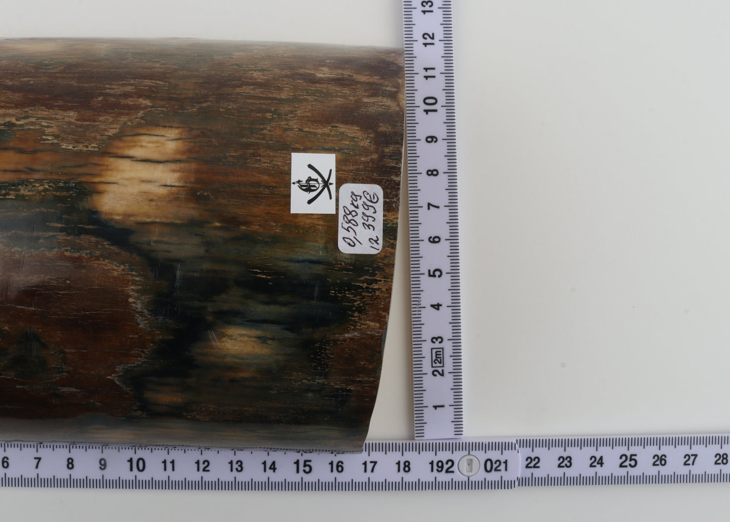 Brown-blue mammoth bark