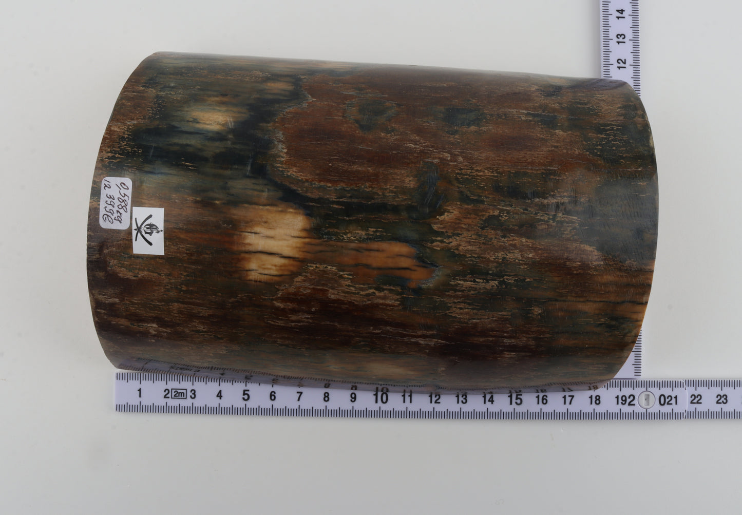 Brown-blue mammoth bark