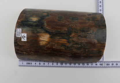 Brown-blue mammoth bark