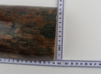 Brown-blue mammoth bark