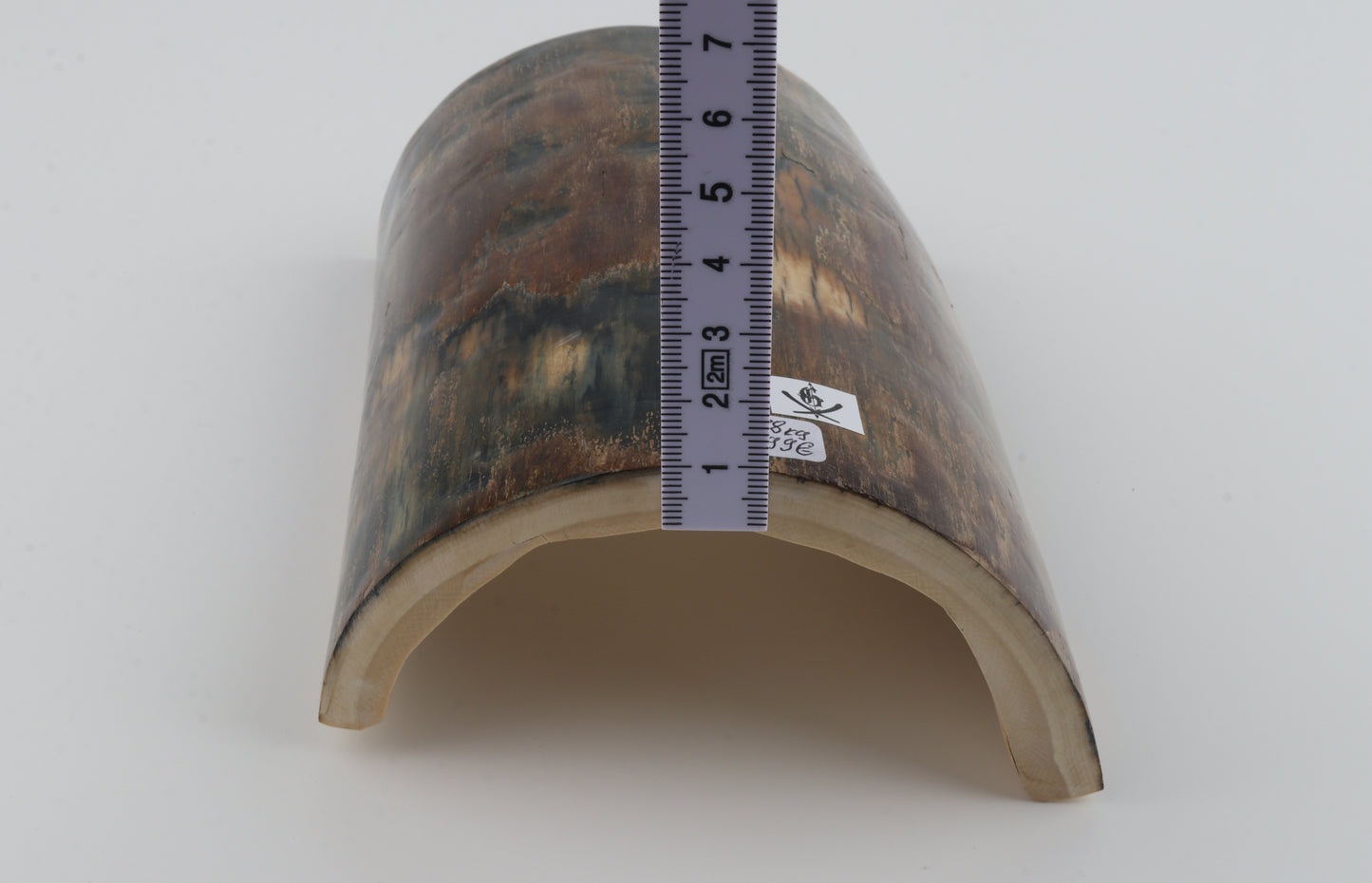 Brown-blue mammoth bark