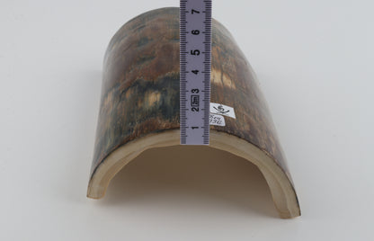 Brown-blue mammoth bark