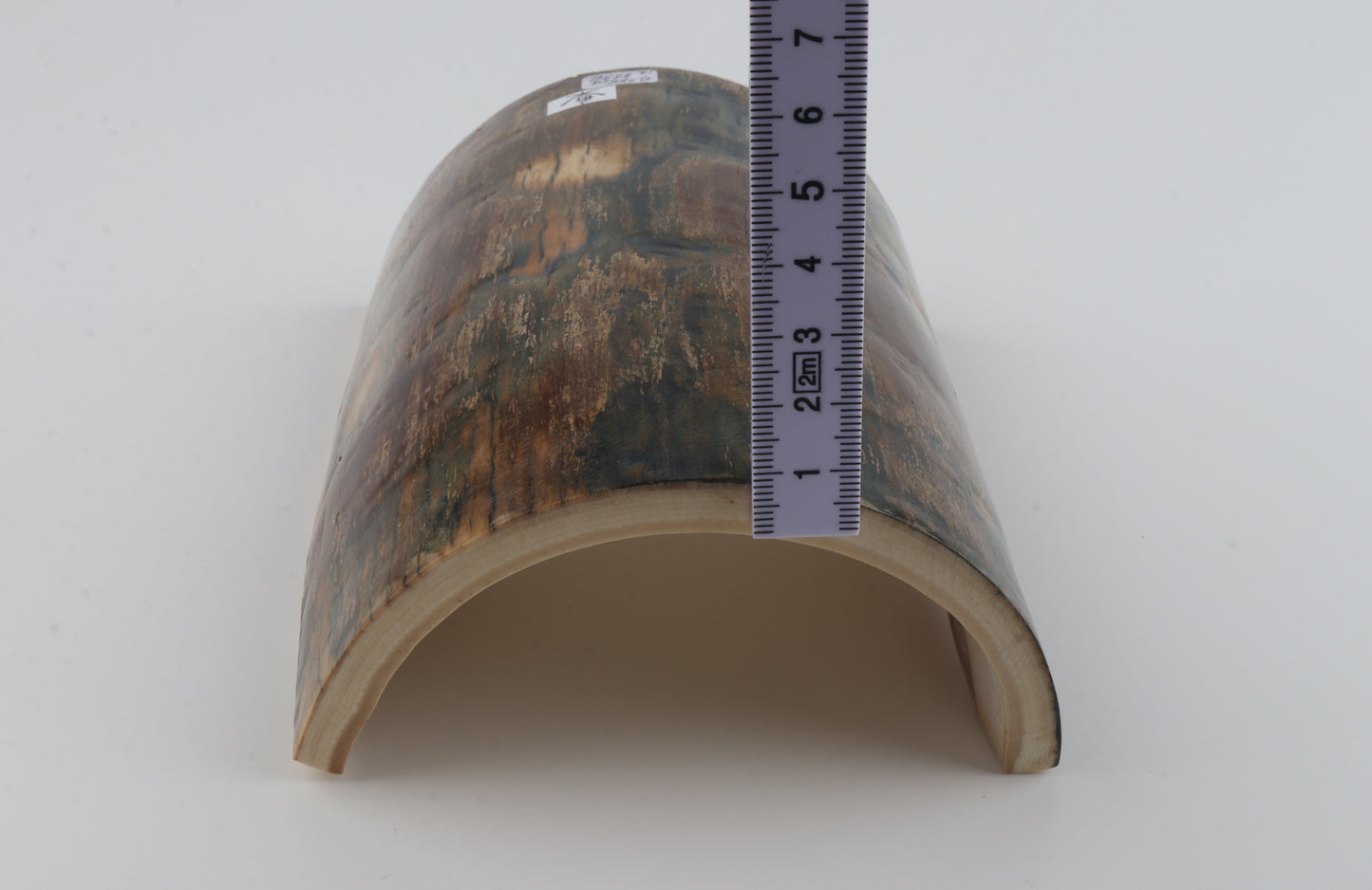 Brown-blue mammoth bark