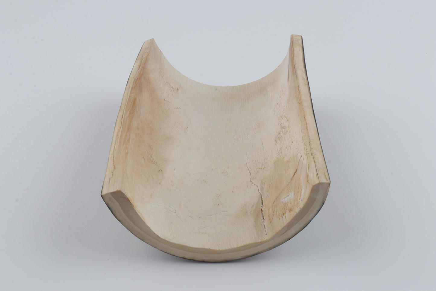 Brown-blue mammoth bark