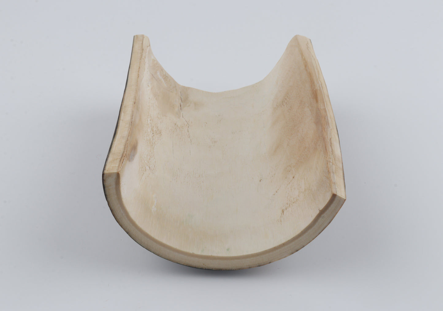 Brown-blue mammoth bark