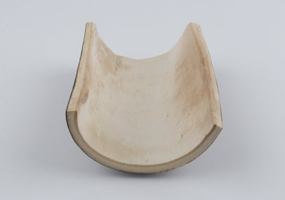 Brown-blue mammoth bark