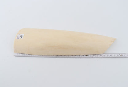 White mammoth ivory piece