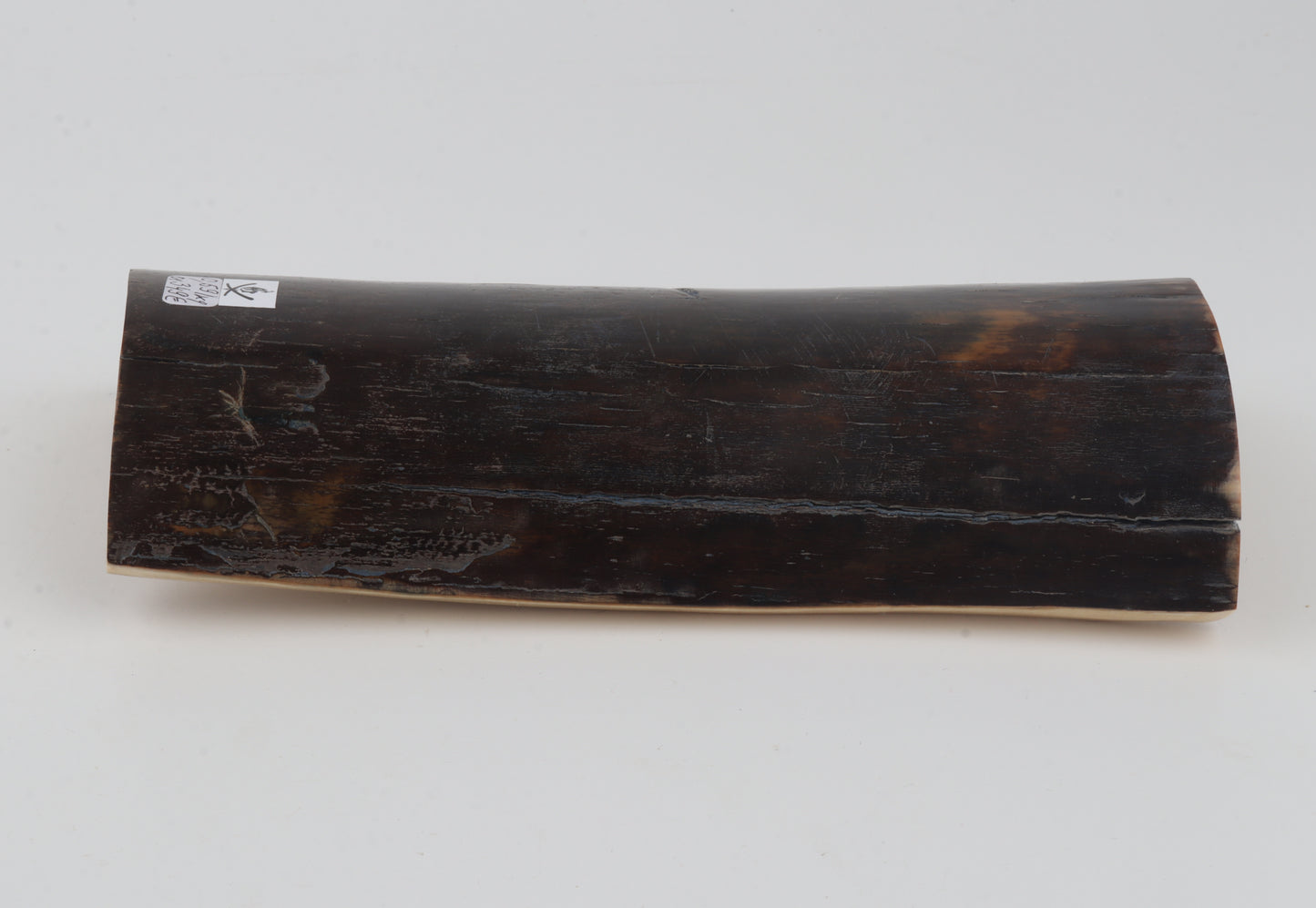 Brown-blue mammoth bark