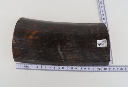 Brown-blue mammoth bark