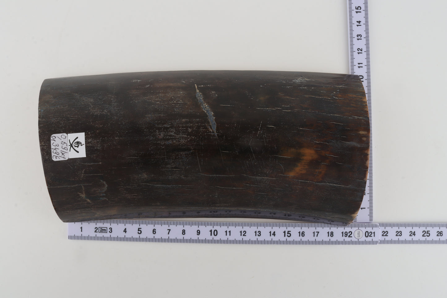 Brown-blue mammoth bark