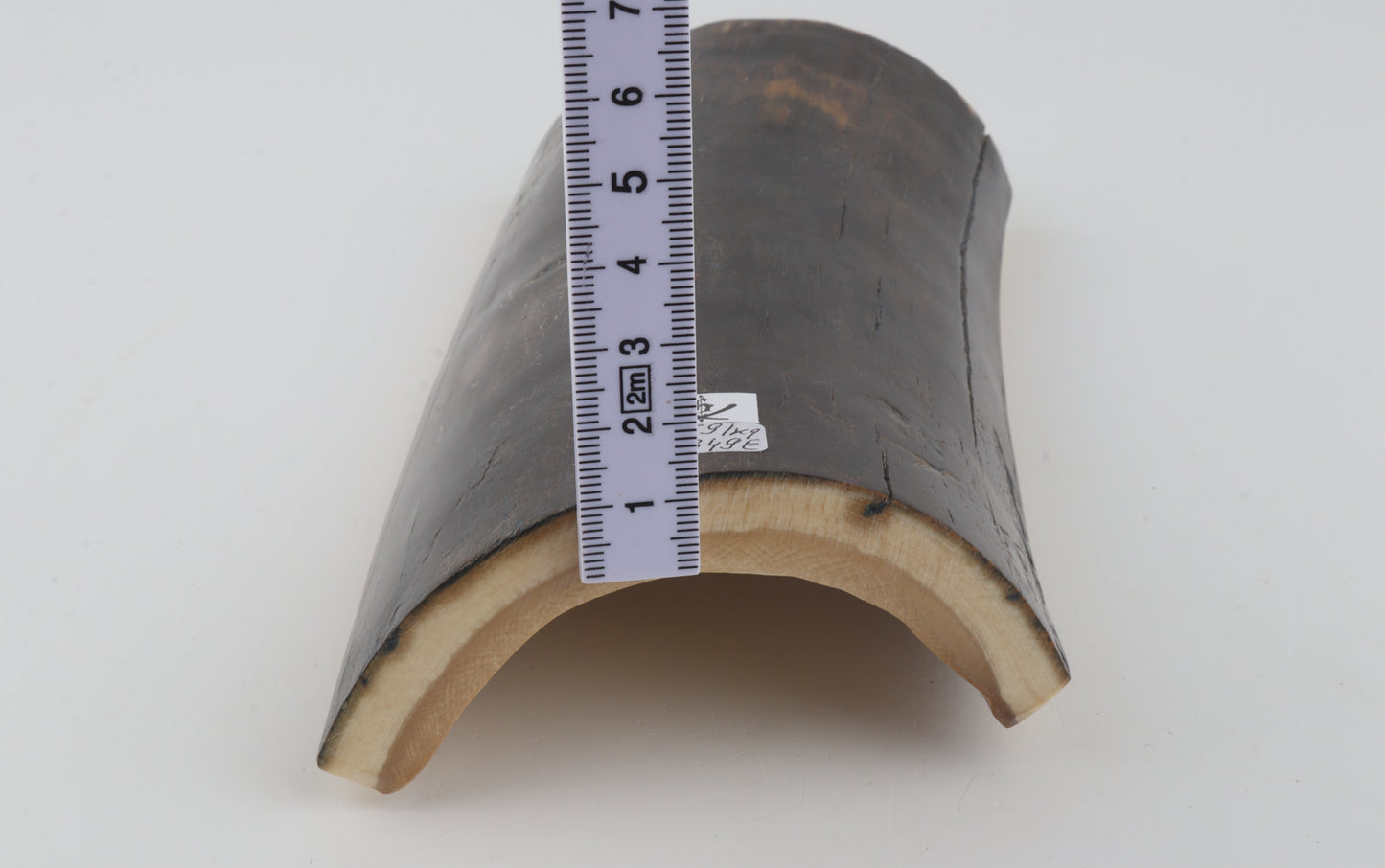 Brown-blue mammoth bark