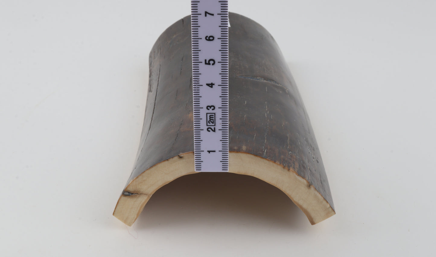 Brown-blue mammoth bark