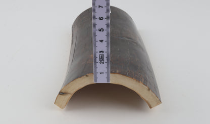 Brown-blue mammoth bark