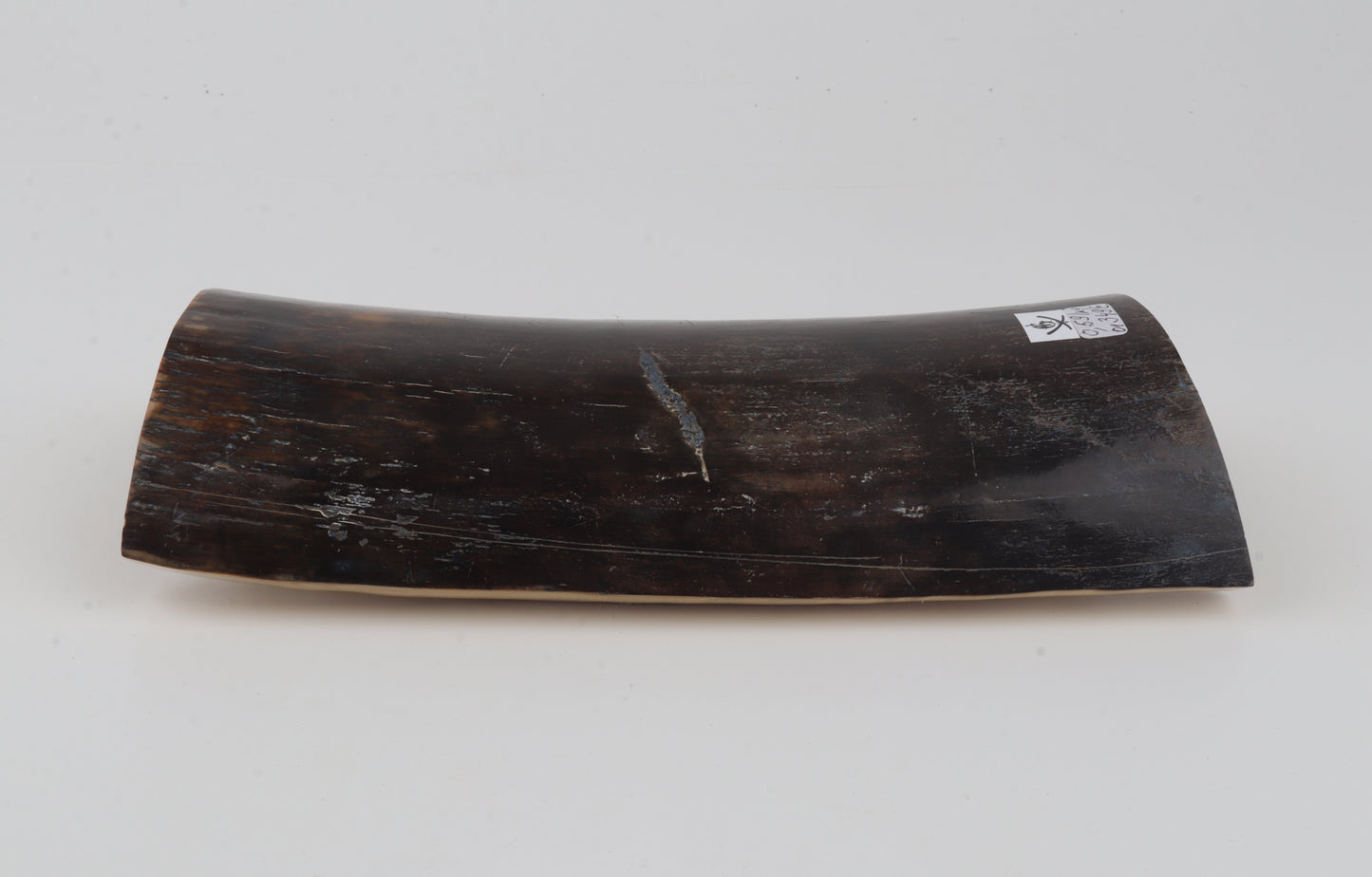 Brown-blue mammoth bark