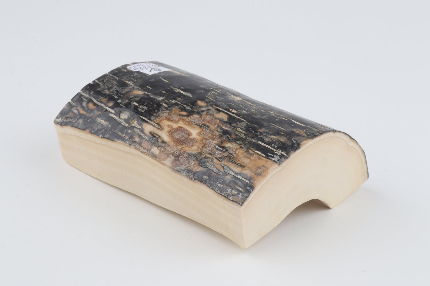 Black-blue mammoth bark