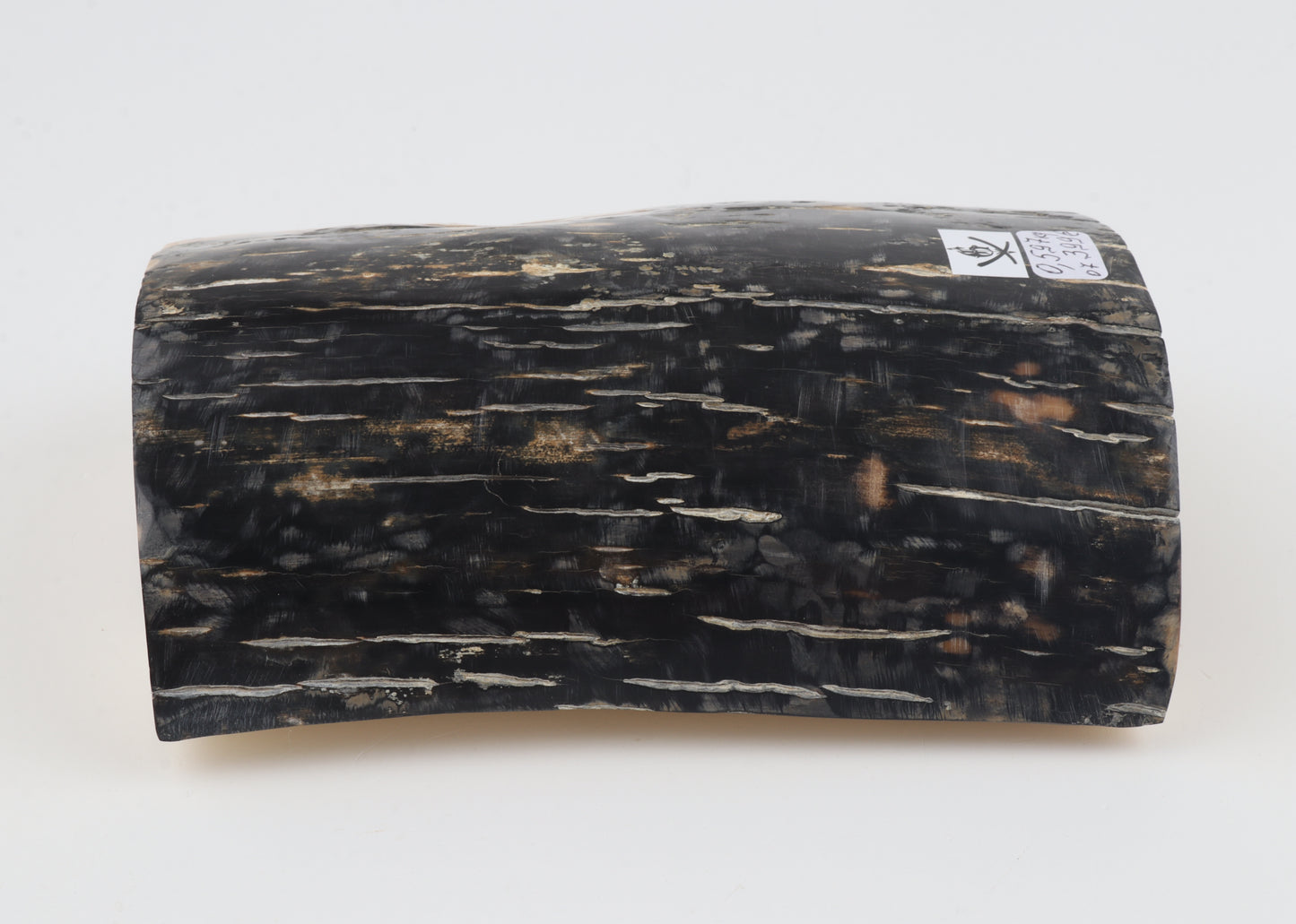 Black-blue mammoth bark