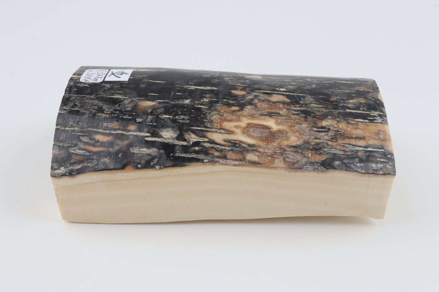 Black-blue mammoth bark
