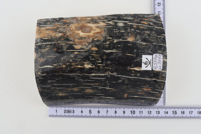 Black-blue mammoth bark