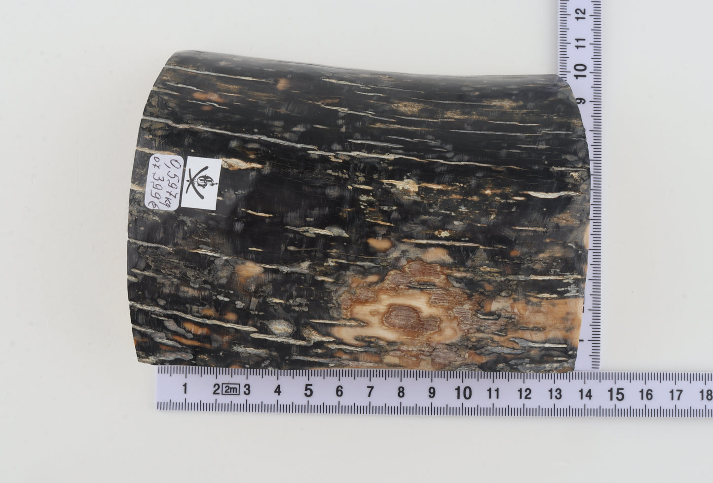 Black-blue mammoth bark