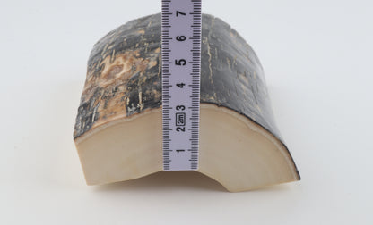 Black-blue mammoth bark