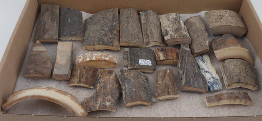 Raw mammoth bark pieces