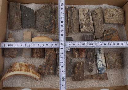 Raw mammoth bark pieces
