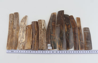 Natural mammoth bark pieces