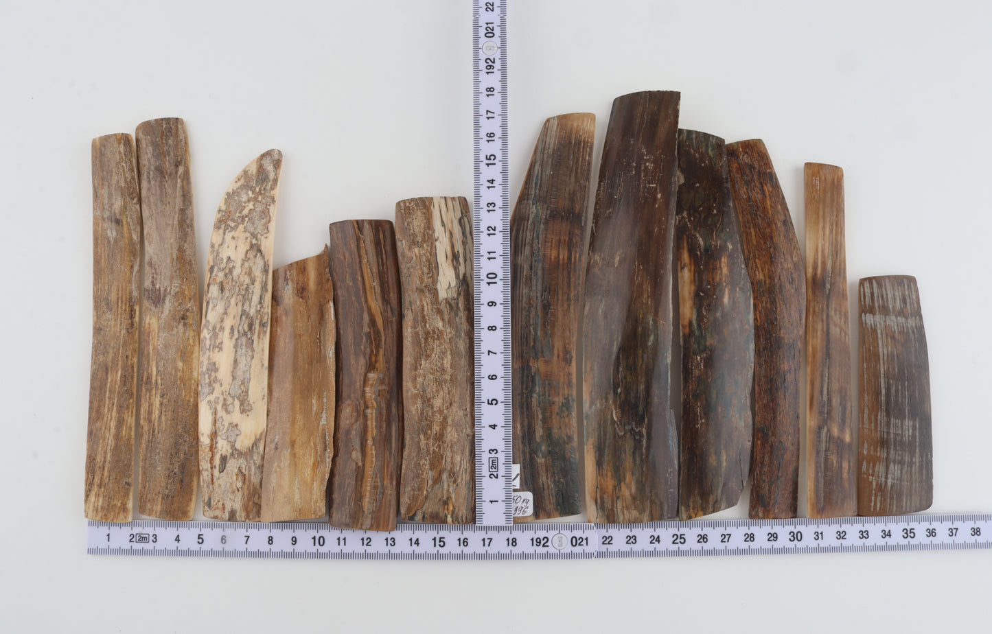 Natural mammoth bark pieces