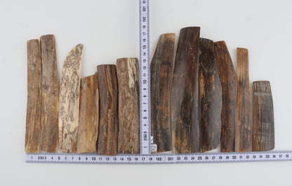 Natural mammoth bark pieces