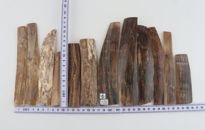 Natural mammoth bark pieces