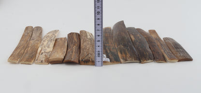 Natural mammoth bark pieces