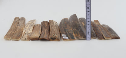 Natural mammoth bark pieces
