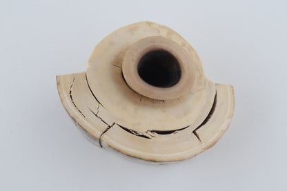 Round mammoth tusk piece