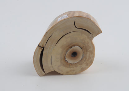 Round mammoth tusk piece