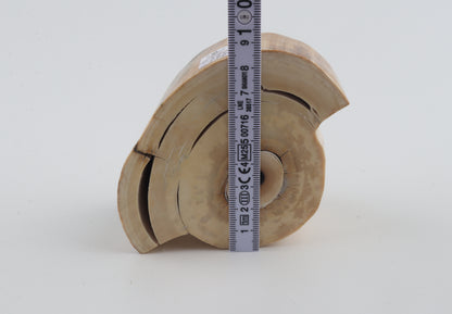 Round mammoth tusk piece