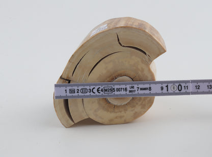 Round mammoth tusk piece