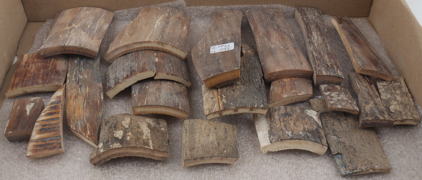 Natural mammoth bark pieces