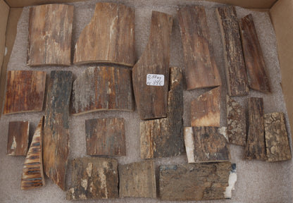 Natural mammoth bark pieces