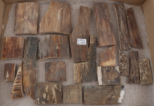 Natural mammoth bark pieces